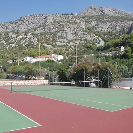 Sunny Dubra