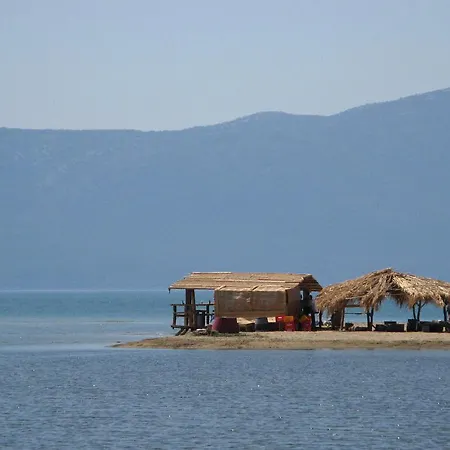 Sunny Dubra Klek